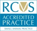 Small_Animal_Practice - All Creatures Clinic